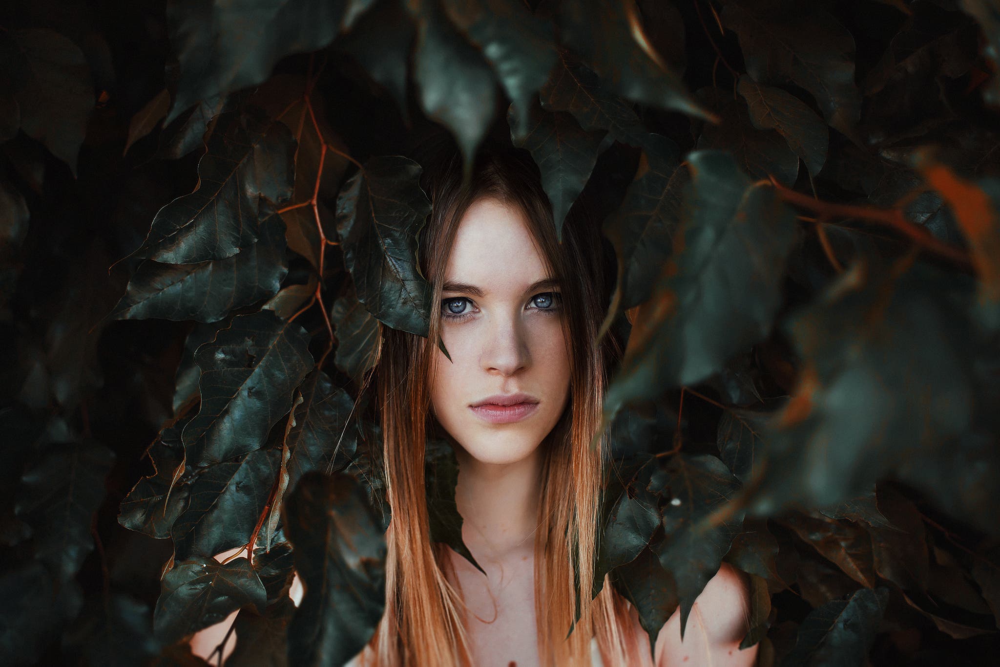 Course Image Curso de Retrato Fotográfico